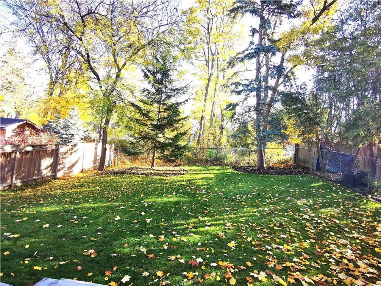 Private, tree-lined backyard with mature trees