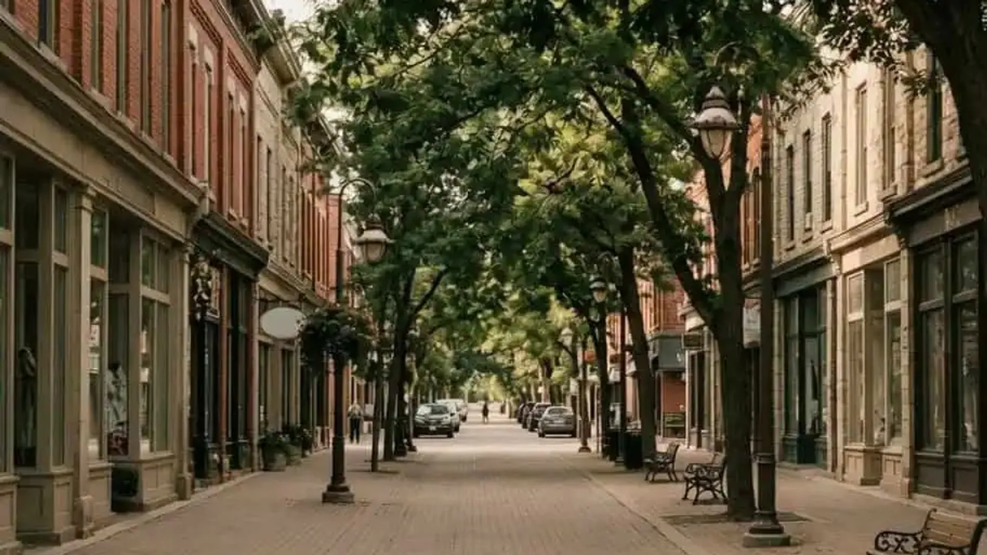 Tree-lined historic storefronts on Brant Street in downtown Burlington