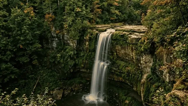 Waterfall cascading over the Niagara Escarpment in a forested gorge near Dundas